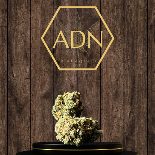 Banana Berry ADN Premium Quality CBD