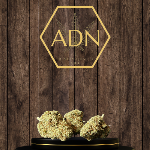 Blueberry Muffin ADN Premium Quality CBD