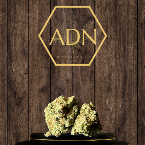 LA Amnésia Bluedream ADN Premium Quality CBD