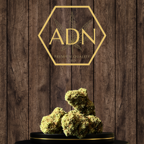Lemon Haze Greenhouse ADN Premium Quality CBD