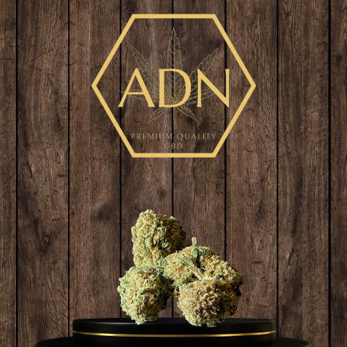 Mango ADN Premium Quality CBD