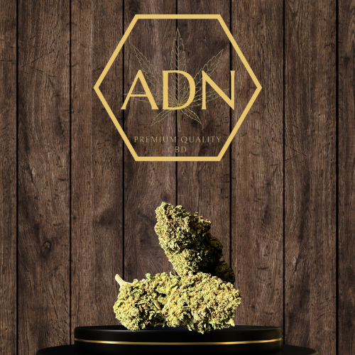 Pinacolada ADN Premium Quality CBD