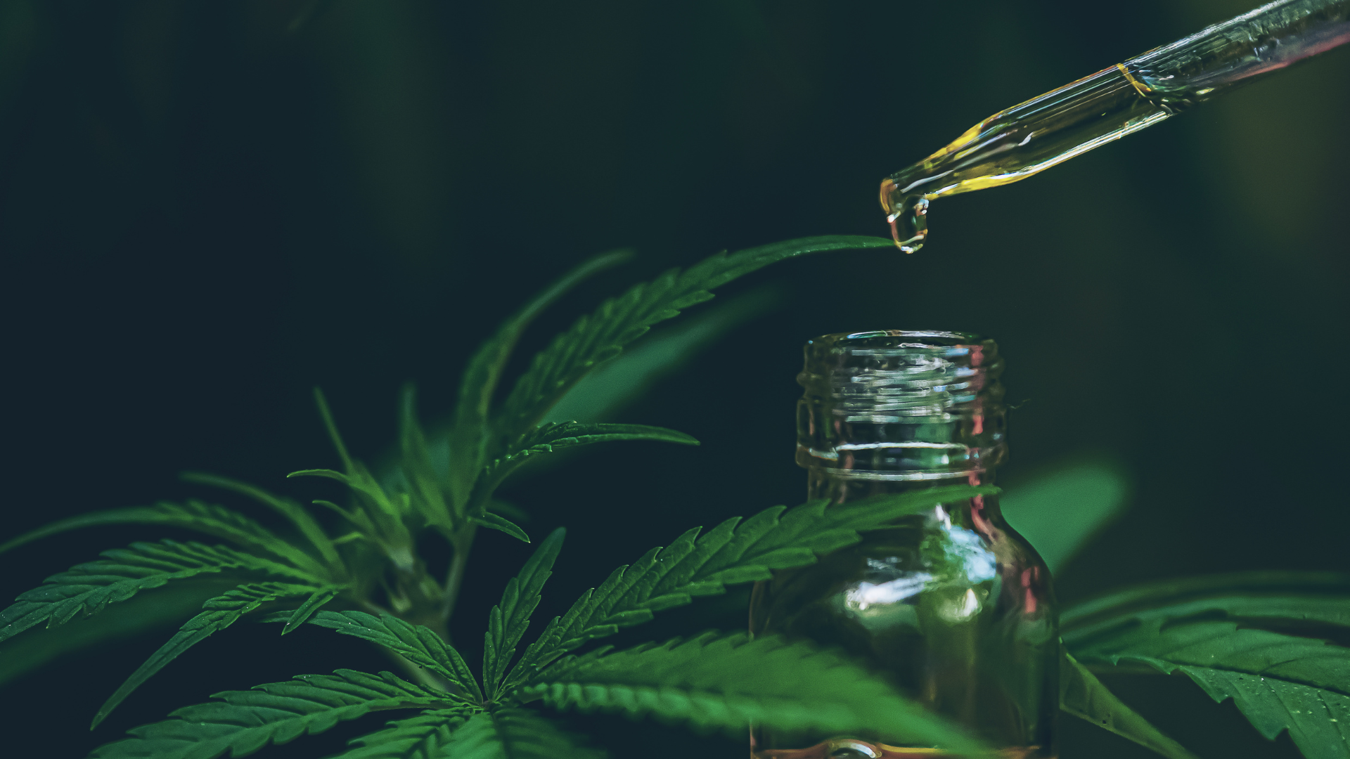 CBD pour le stress ADN Premium Quality CBD